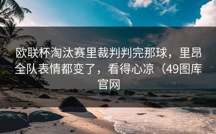 欧联杯淘汰赛里裁判判完那球，里昂全队表情都变了，看得心凉（49图库官网